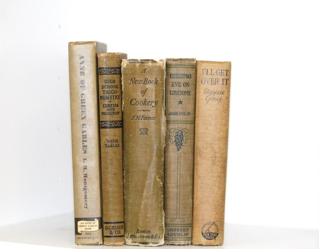 Shabby Chic Beige Books 5 Instant Library Collection Interior Design Photography Cottage Home Style Shabby Chic