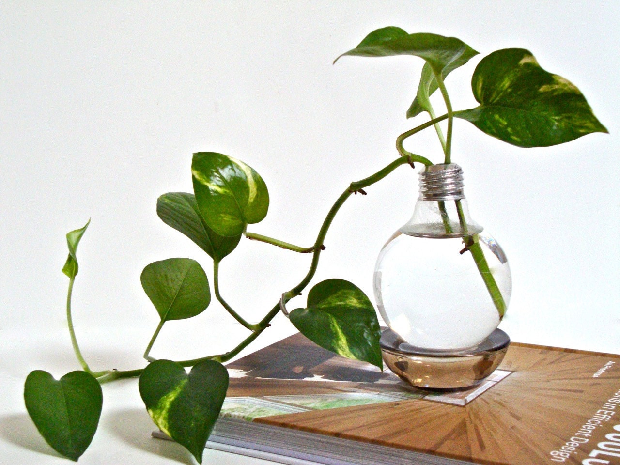 Repurposed Lightbulb: Light Bulb Vase with Brown Base (Without Plant)