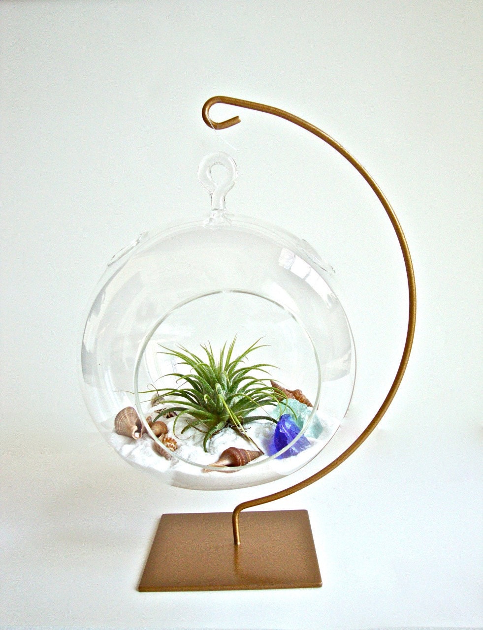 Hanging Glass Globe Air Plant Terrarium with Gold Painted Stand