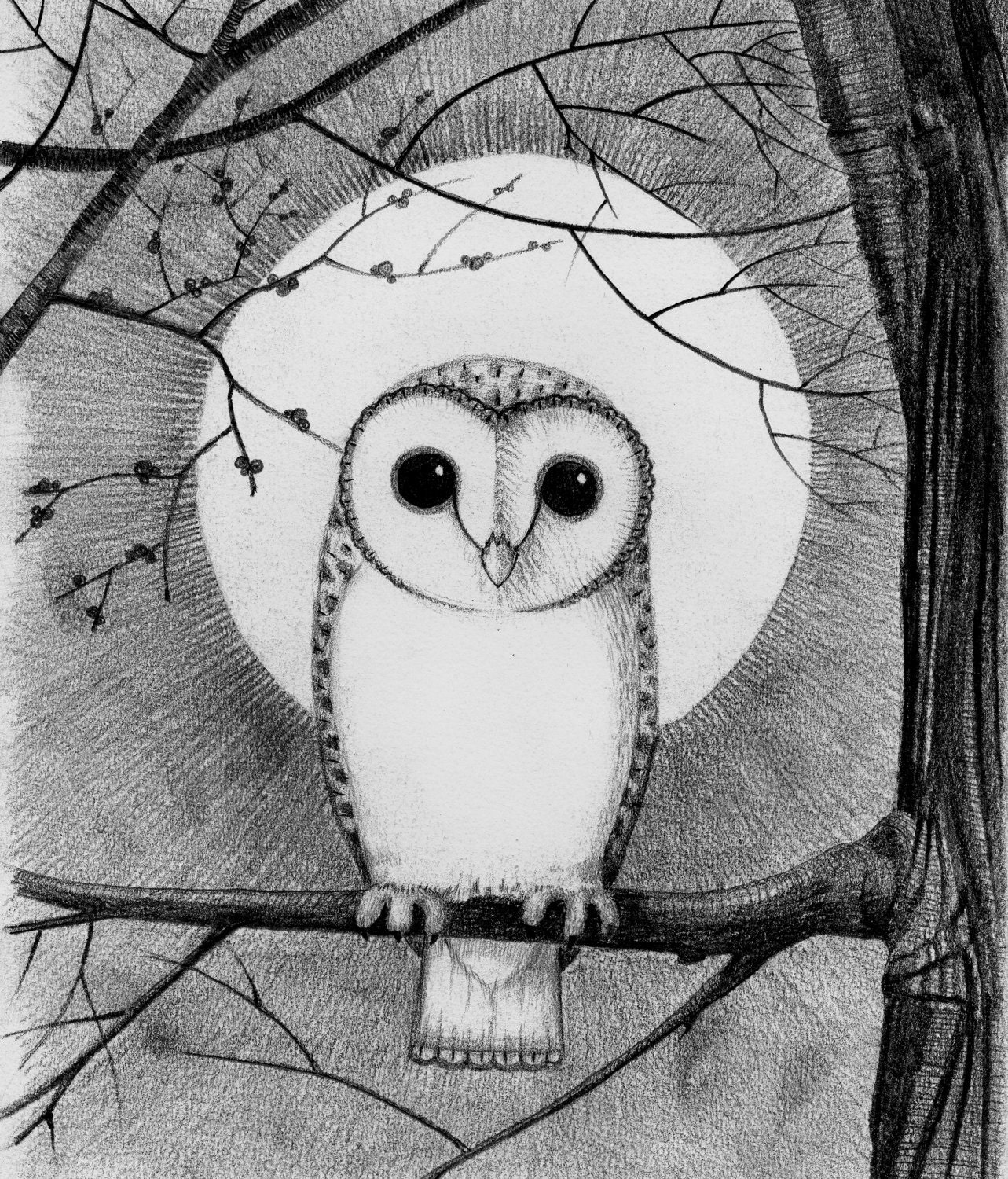 Barn Owl Moon