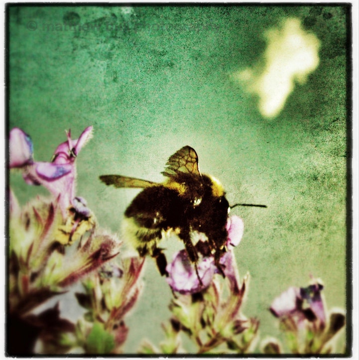 Busy Bee - soft blues golden yellows and pinks - a busy bee on a flower