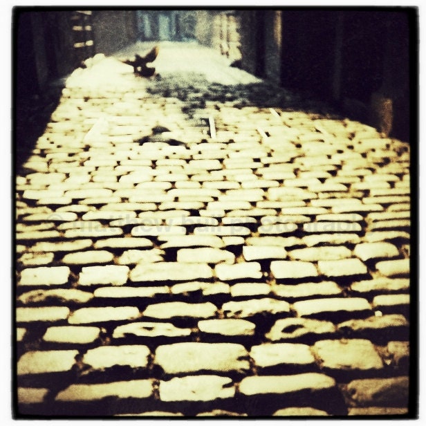Flight of freedom - gold and black cobbled street - a shadowy bird in flight