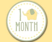 Ryan Monthly Onesie Circles INSTANT DOWNLOAD Baby Elephant 4" Round DIY. Stickers Tags Iron-On Cards or Scrapbooking