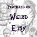 spider skeleton: creepy taxidermy art, spider monkey articulated mount