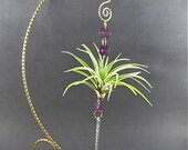 Purple Crystal Air Plant Window Ornament Home Decor Ornament Gifts under 20 Unique Gifts
