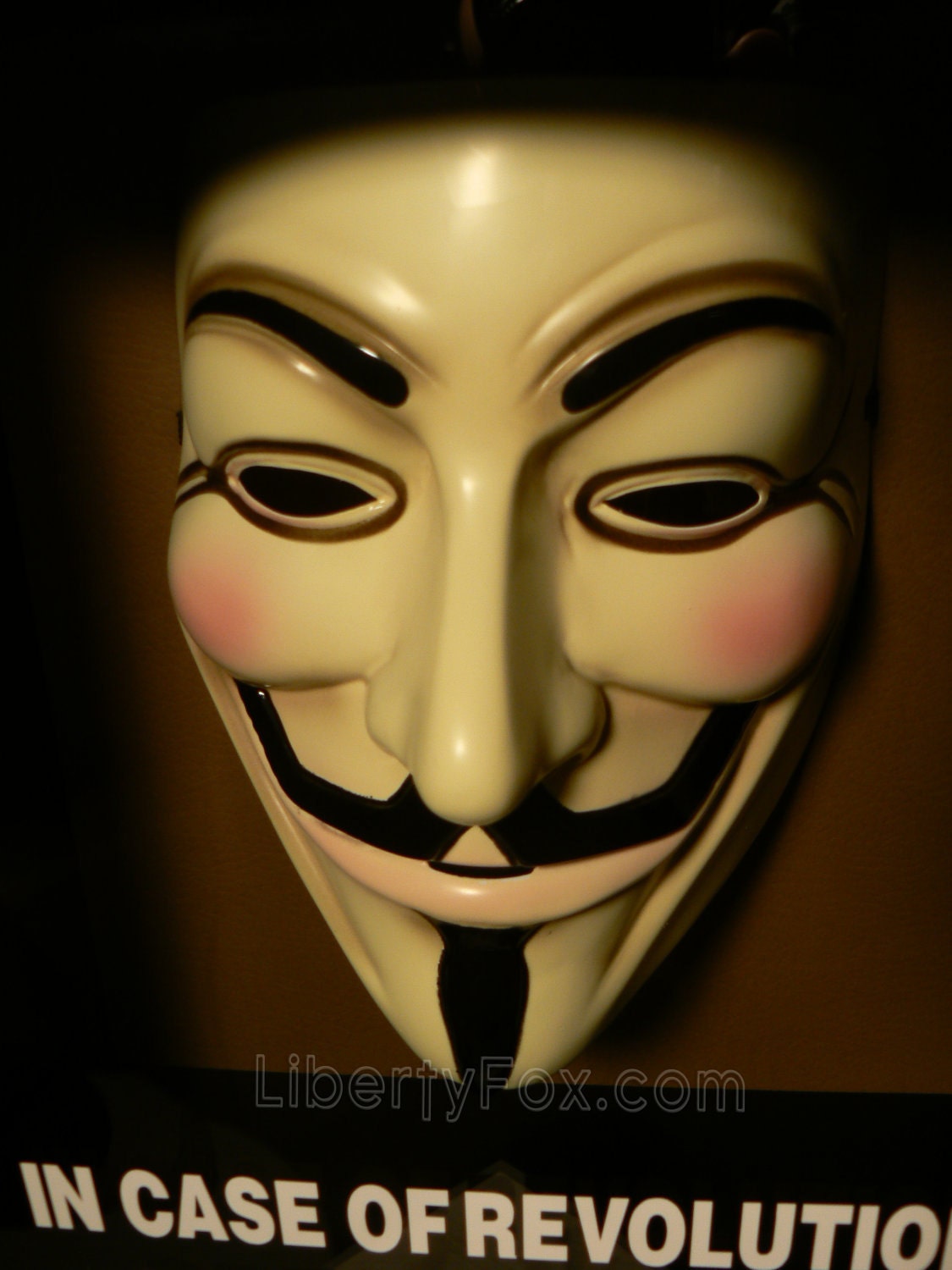 In Case of Revolution Break Glass (V for Vendetta) Anonymous Mask Shadow Box