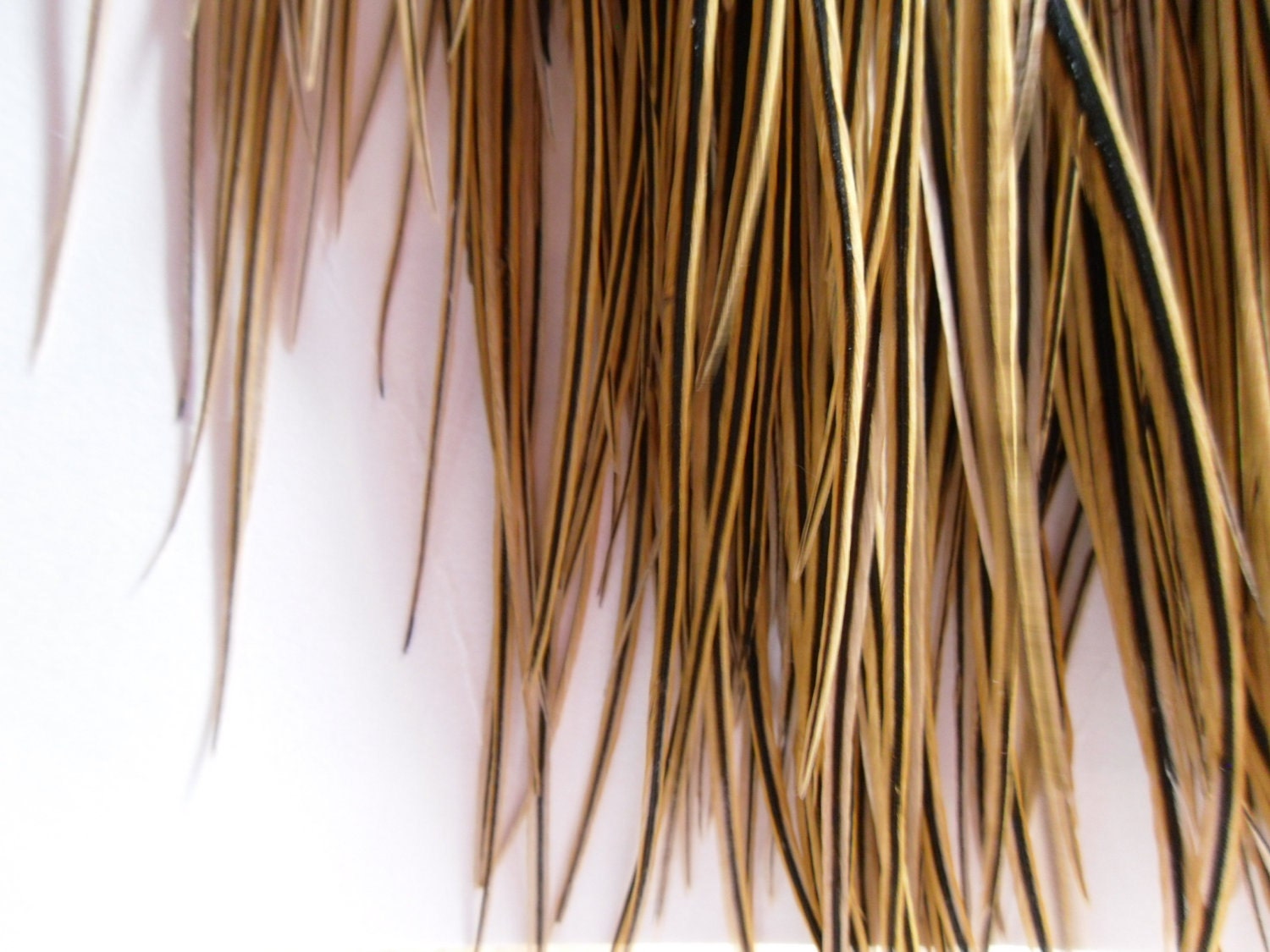 Natural Hair Feather Extensions, Whiting Golden Badger Feathers