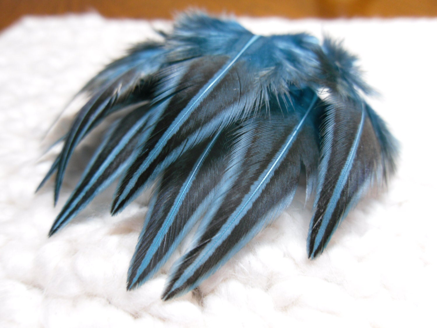Turquoise Feathers, Hand Dyed Jungle Fowl, Qty12