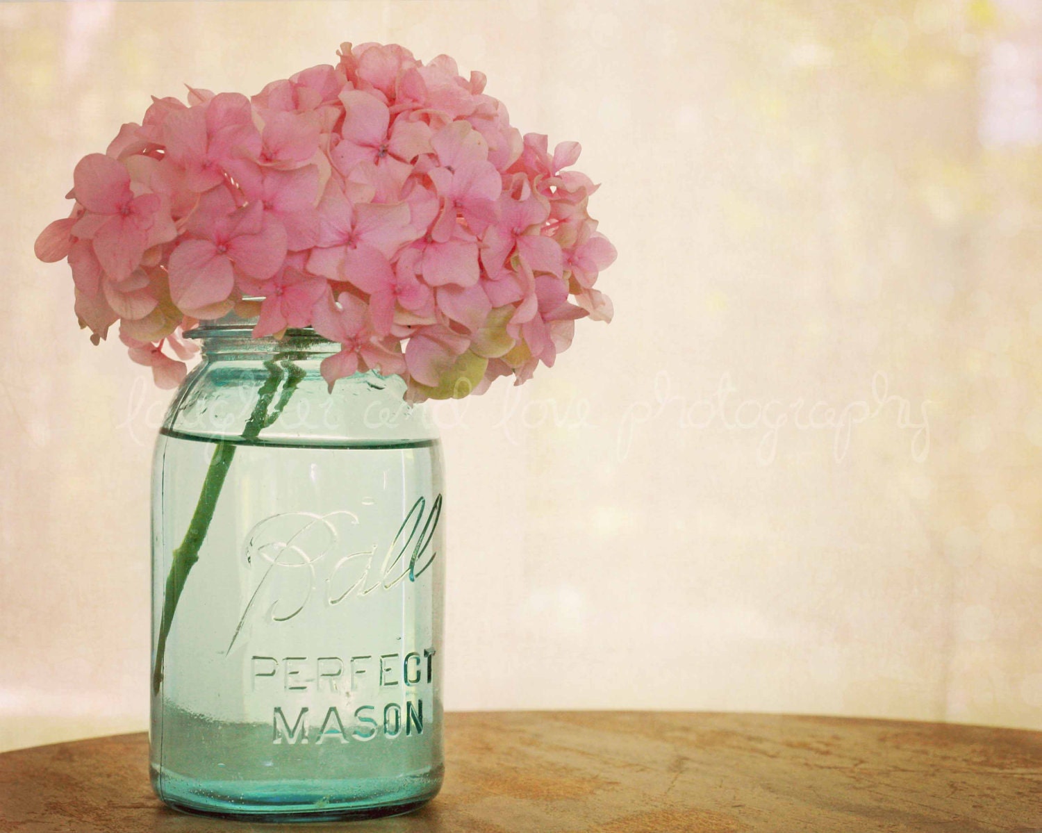 Pink Hydrangea 8x10 Fine Art Photography Shabby Chic Romantic Feminine Aqua Blue Ball Mason Jar Home Decor Wall Art