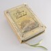 Alice in Wonderland Book Clutch