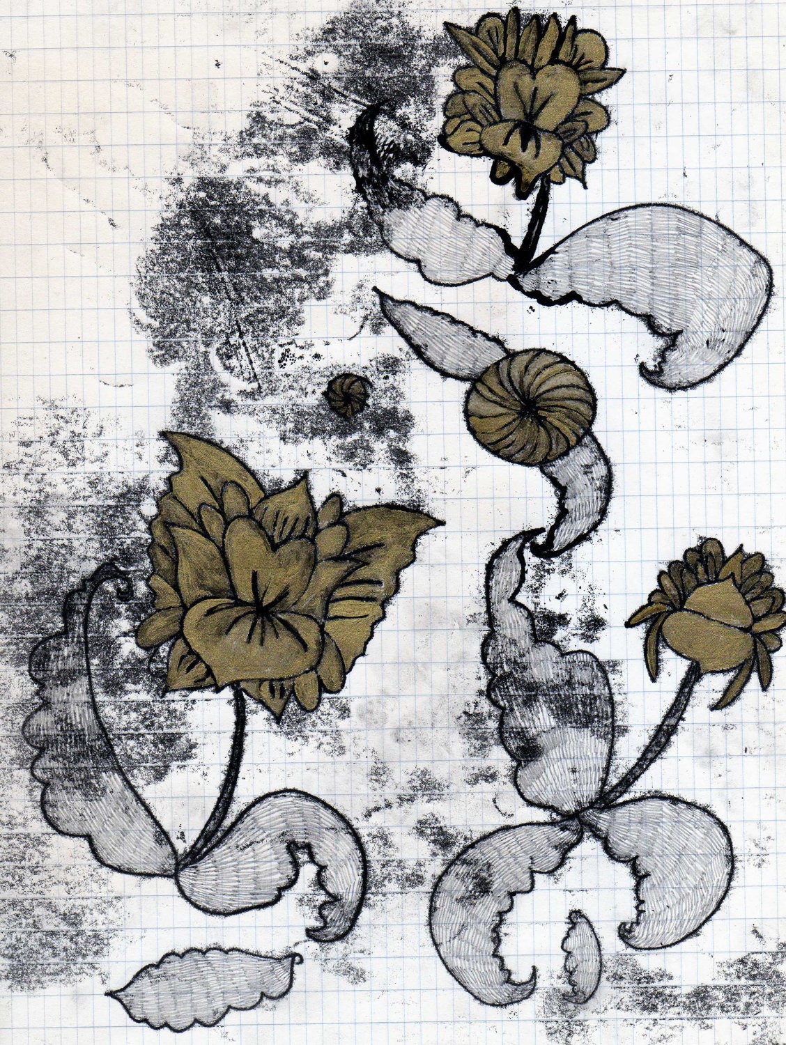 botanical n5-original drawing