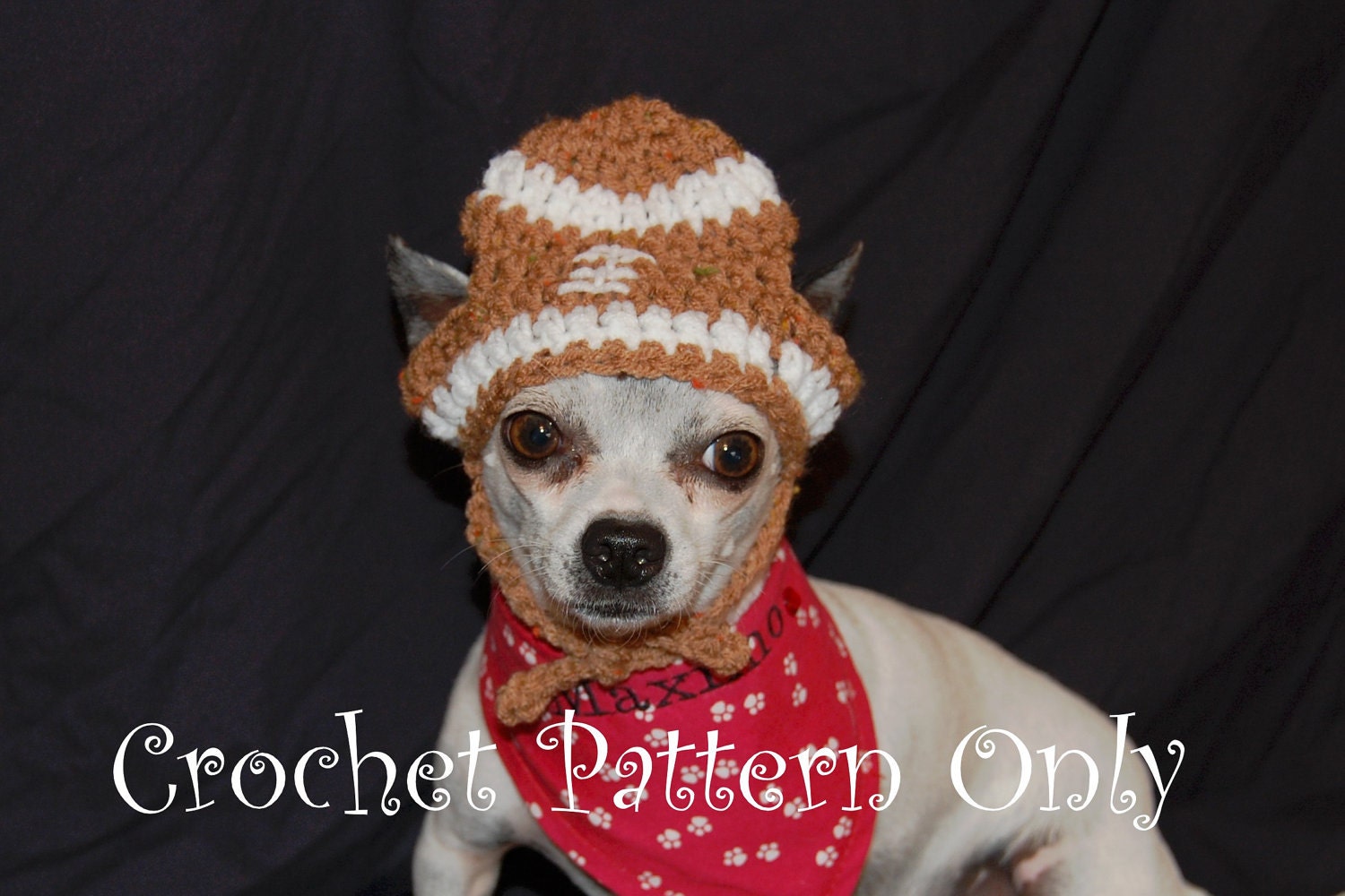 Instant Download Crochet Pattern- Football Dog Hat  - Small Dog Beanie  2-20 lbs
