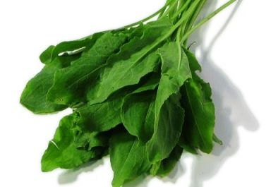 Sorrel Herb - Heirloom - Organic - 50 Seeds