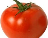 Tomato - Homestead - Heirloom  20 Seeds