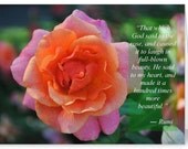 Rose, Rumi, Inspiration, 5 X 7, set of five, greeting cards, folded, Victoria Anne Photo Art
