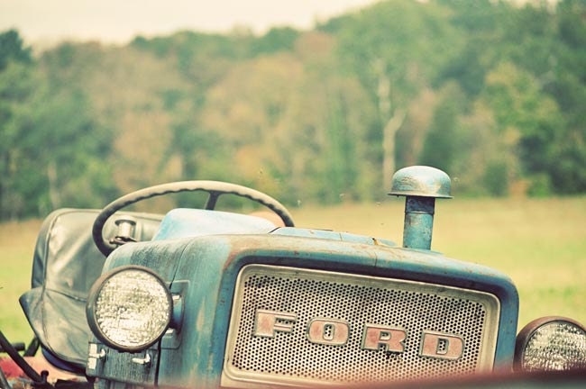 Tractor farm photograph blue vintage Ford in a pasture with green and gold fields 8x12 art print