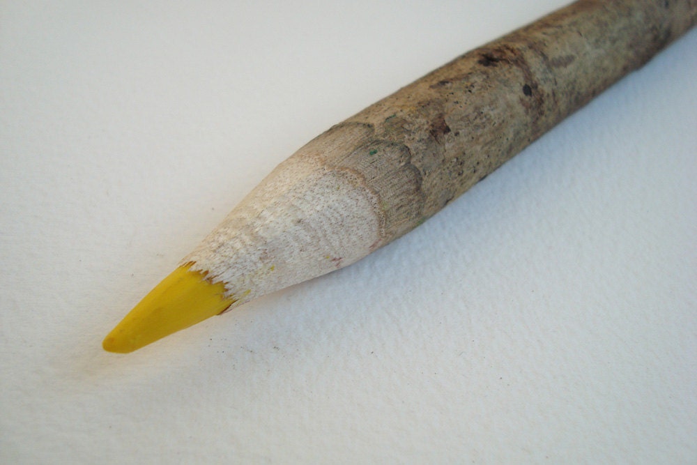 Super Big Twig Colored Pencils Made of Natural Distressed Wood