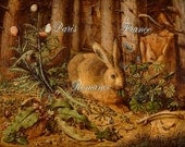 Medieval Antique Brown Beige Woodland Hare Painting Digital Download Green Foilage Plants Critters Butterflies Bird Print 42P