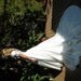 Wedding Dress in Satin White with tulip short sleeve