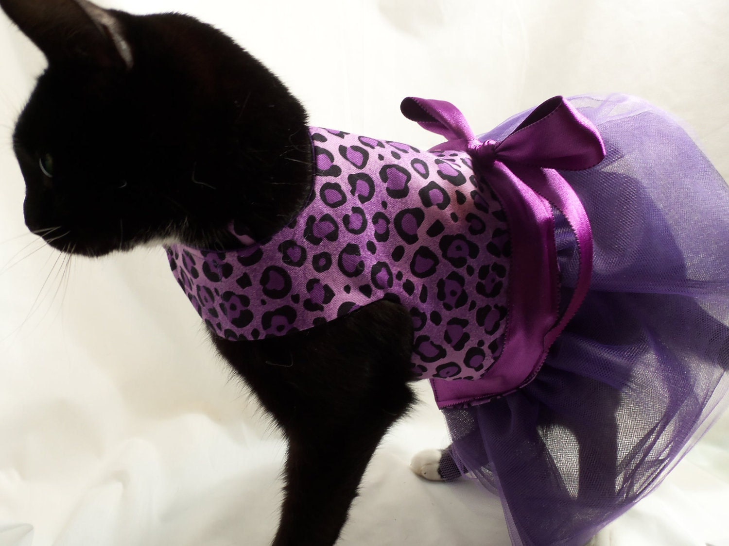 CoolCats Purple and Black Leopard Cat Tutu Dress
