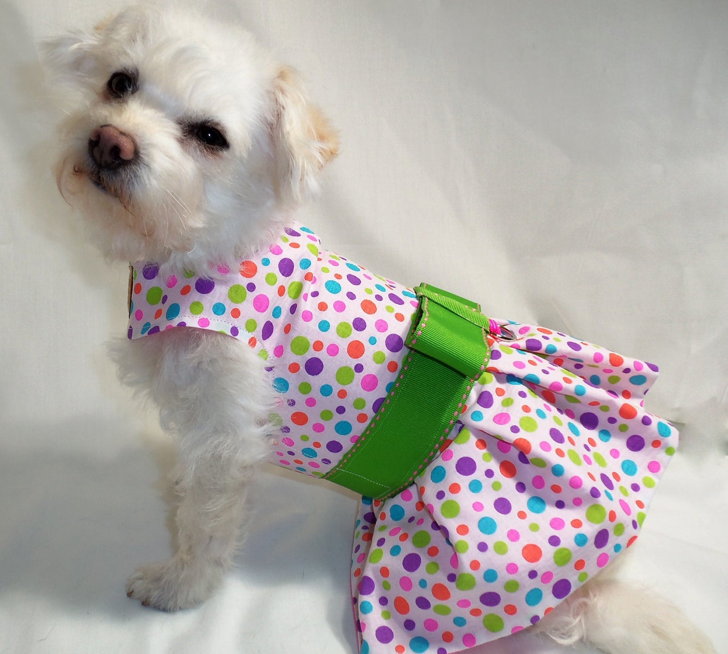 RockinDogs Polka Dot Dog Dress