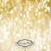 4' x 4'  GOLD GLITTER HOLIDAY Vinyl Backdrop for Children, Babies Bokeh