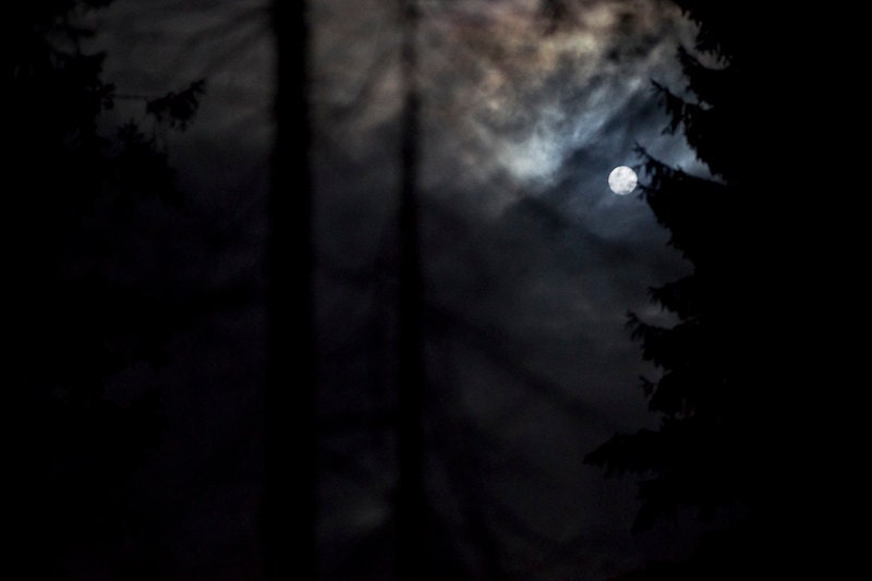 Full Moon - Nature Photos - Photo Art Prints - Moon Print - Woodland - Fine Art Photography - Gothic Art - Forest Landscape - Halloween