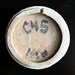 Shino Cup Mendelssohn ( Ceramic Stoneware Pottery )