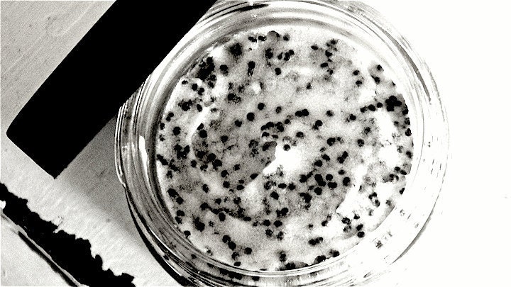 Face and Body Wash - Poppy Seed Daily Face/Body Wash, Gentle Exfoliant and Massage therapy
