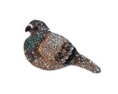 Glitter Pigeon Bird Brooch and Hair Clip