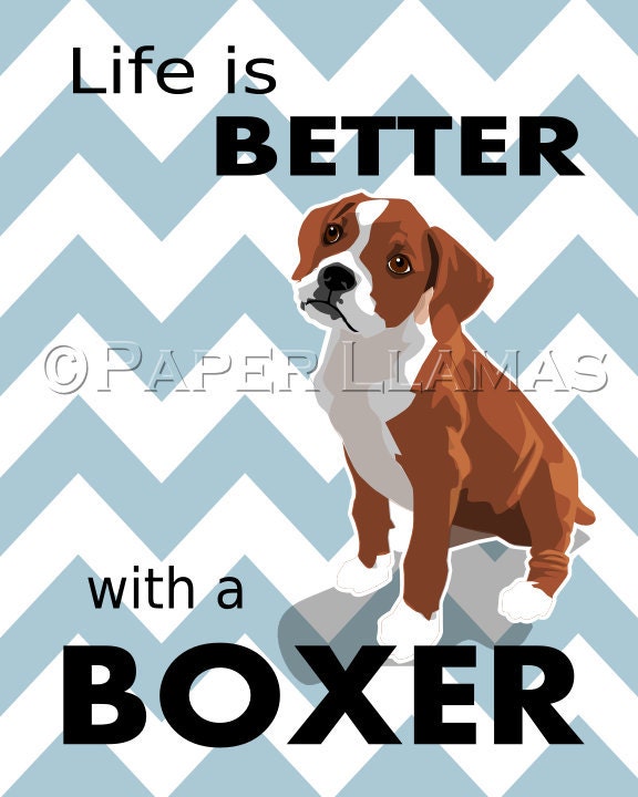 Boxer dog art print  Dog Prints modern dog art 8x10 boxer puppy pictures decor