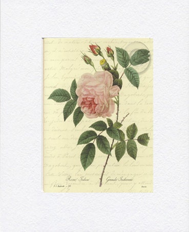 Antiqued Vintage Pink Rose Digital Download Art Nature Print with French Script Love Letter 4
