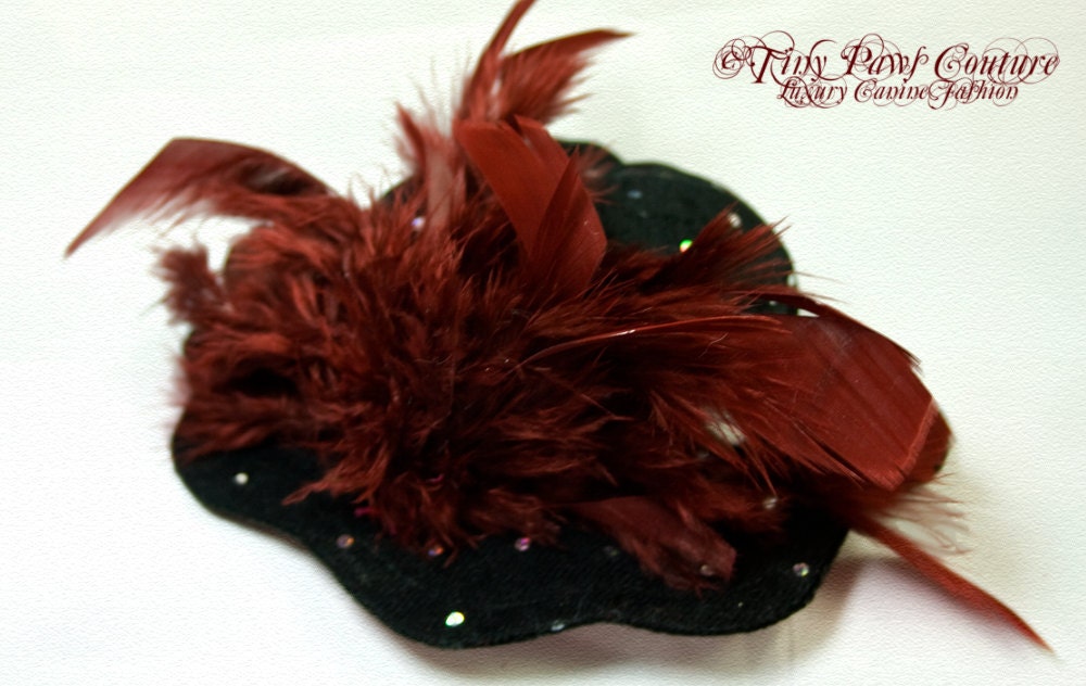 Designer Pet Hat, Suede, Sequins, Black, Burgundy Feather Trim
