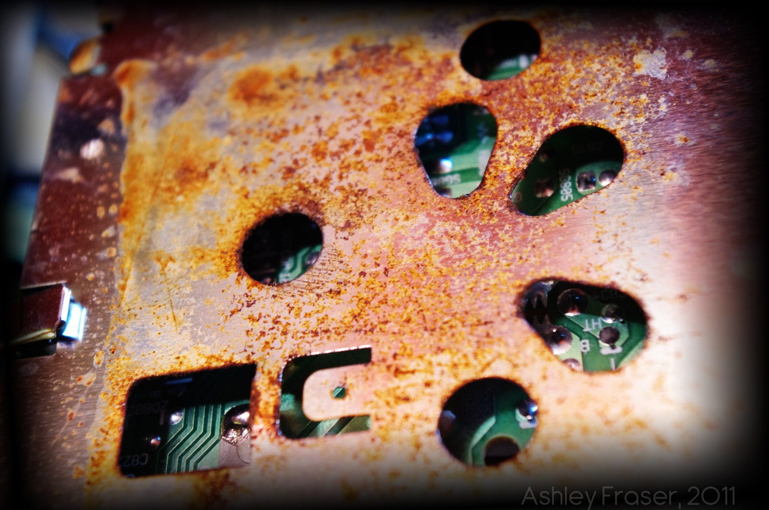 Flower Technology - 8x10 Print