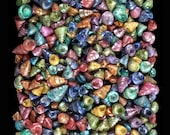 1 Ounce Rainbow Dyed Trochus Shells for Crafts
