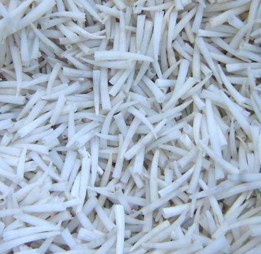 1 Ounce White Tusk Shells for Crafting