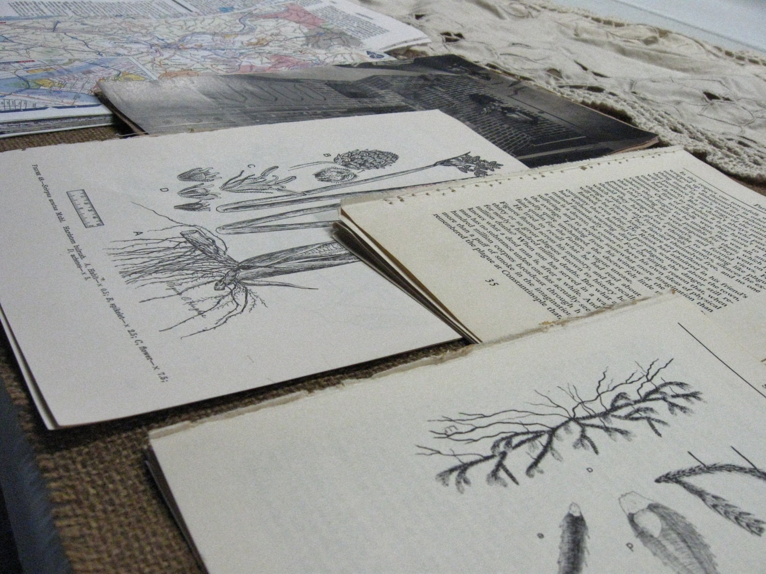 Vintage Paper Ephemera: Library Borrower Cards, Fiction, BH&G zine, Medical dictionary pages, US state highway maps totalling 70 Sheets