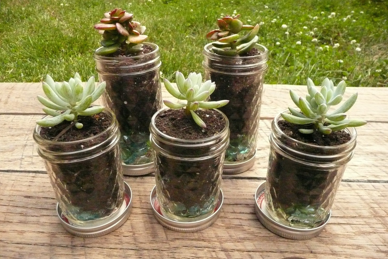 Quilted Mason Jar Succulent or Herb Planters with Free Chalkboard Labels - Set of Five