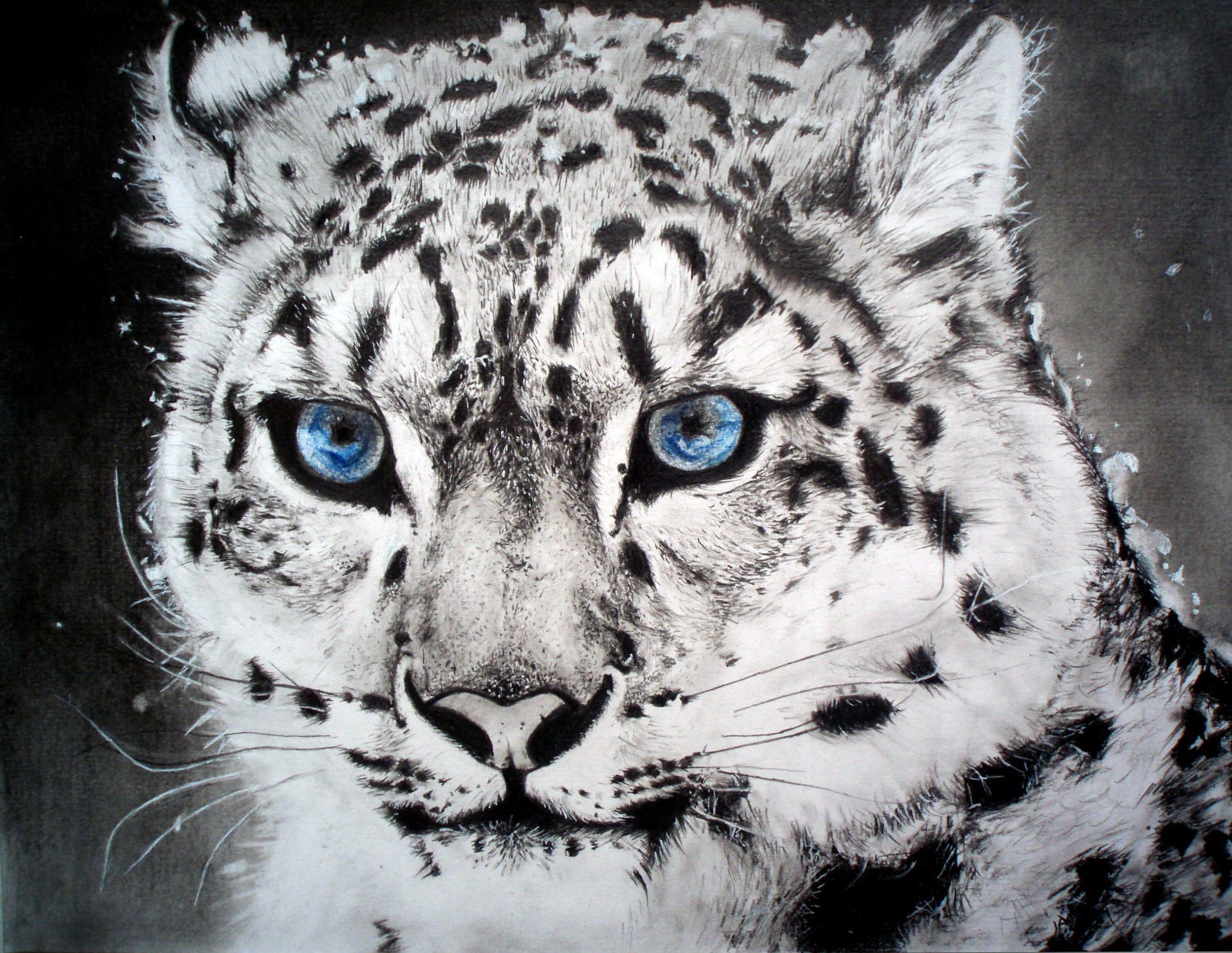 animal snow leopard