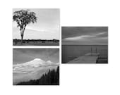 Landscape Photo Set Three Black and White 8x10 Nature Prints Mountain Snow Field Tree Lake Dock Summer Winter Home Decor