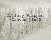 16x20 Canvas Gallery Wrapped Nature Home Decor Fine Art Canvas Flower Print Sunset Photo Ocean Lake Photography  Black and White and Color