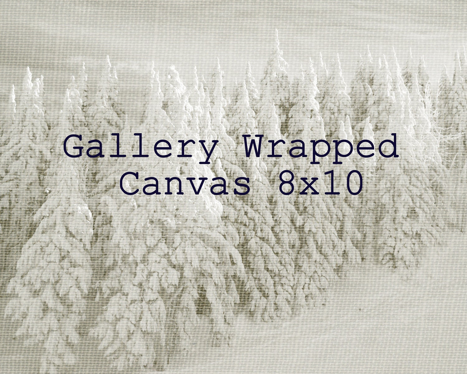 Canvas 8x10 Gallery Wrapped Landscape Photography Flower Sunset Mountain Prints Nature Photos Color and Black and White Home Decor Wall Art