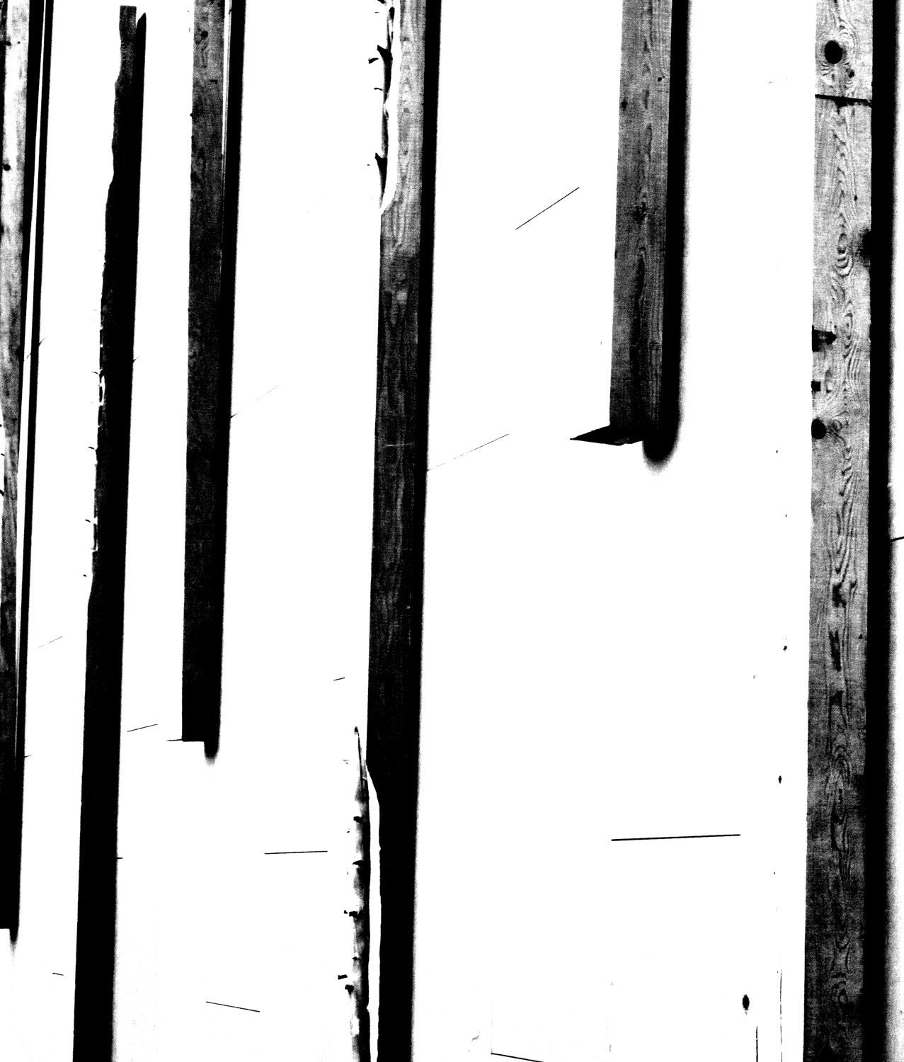 Untitled No.5