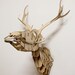 Goldfuss - plywood taxidermy skull deer trophy