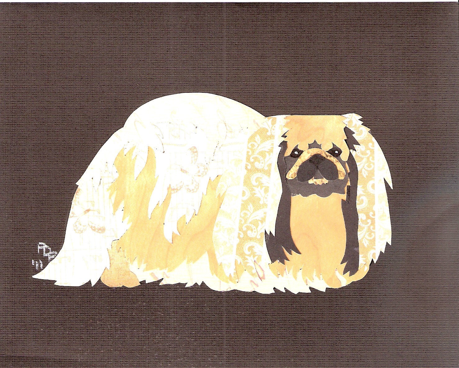 pekingese cut