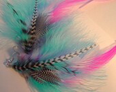 Blue pink fluffy black and white grizzly feather earrings