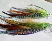 Green yellow purple and blue brown long feather earrings