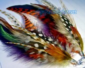 Brown orange dark iridescent purple black and grizzly long feather earrings