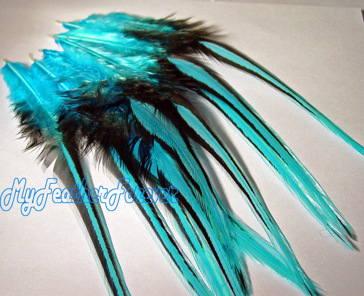 SALE 12 FEATHER 4'' long turquoise blue with black lace 4 crimp bead hair extension crafts