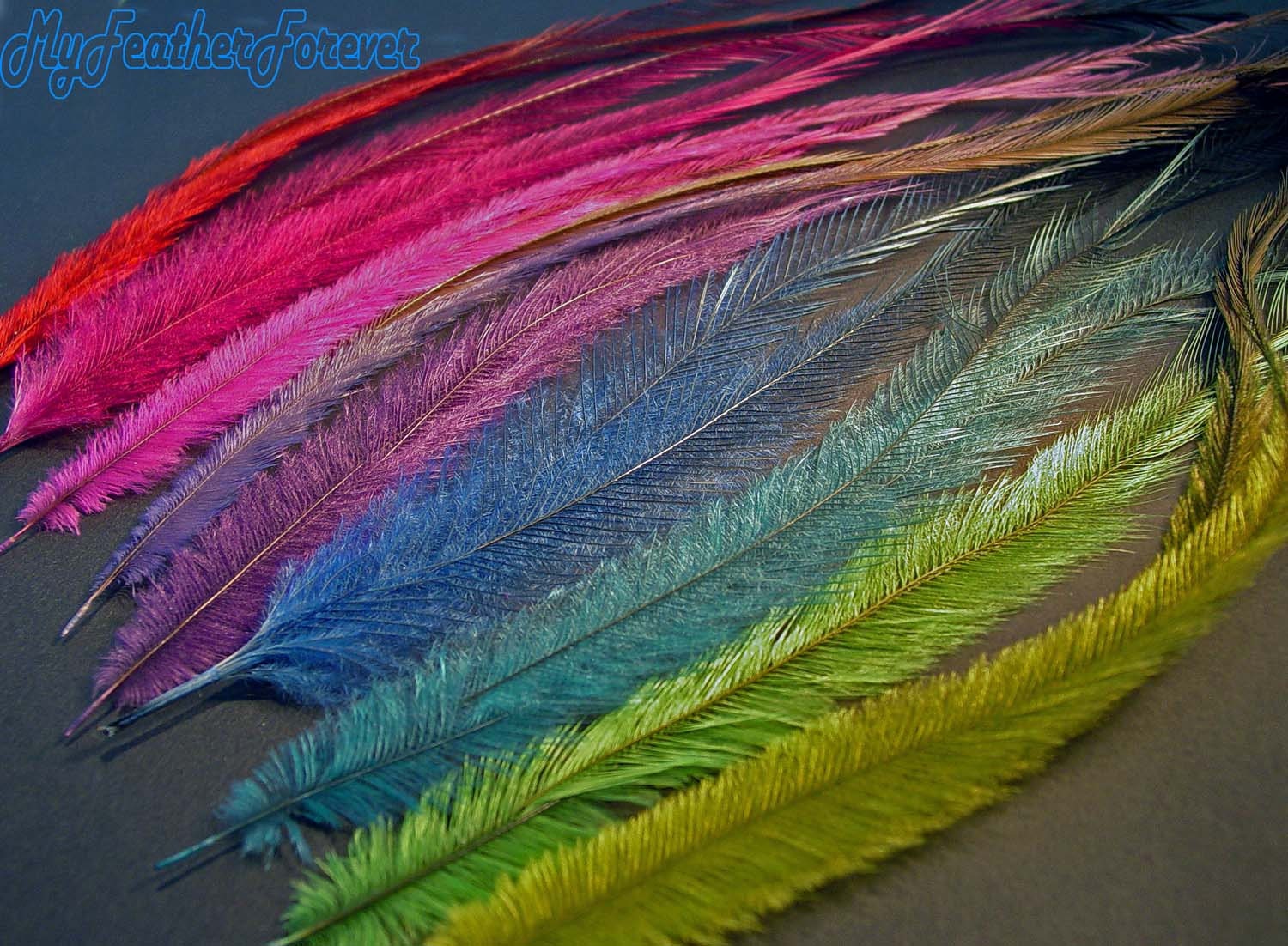 EMU feather 18 long hair extensions 9''-11'' feathers and 6 beads for  earrings, crafts, scrapbooking 18 feathers